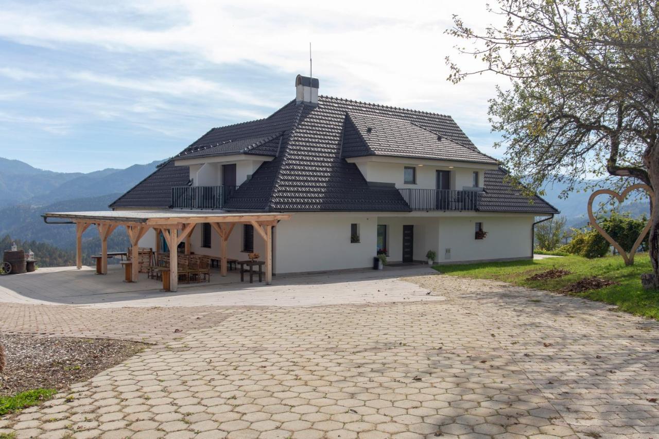 Vila Marin Miler Prevalje Экстерьер фото