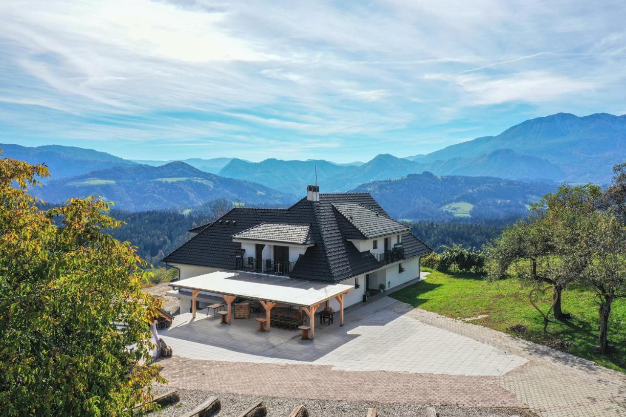 Vila Marin Miler Prevalje Экстерьер фото